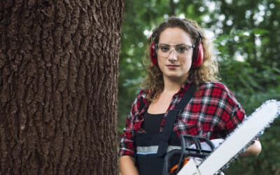 What is the Average Salary for a Tree Surgeon?