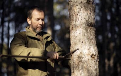 How Much Does Tree Pollarding Cost?